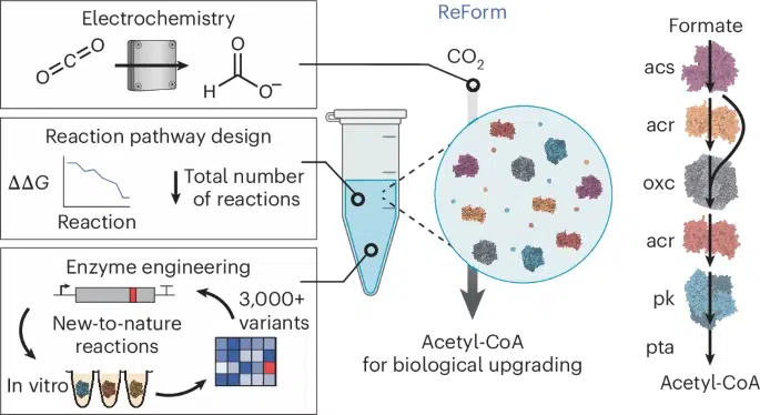 nuevo sistema para transformar el CO2