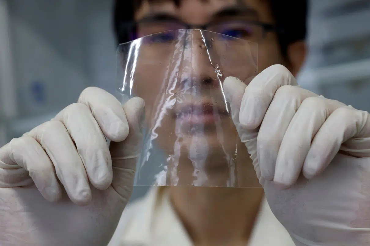 Against Pollution: Japan Develops Plant-Based Plastic That Dissolves in the Sea in a Few Hours