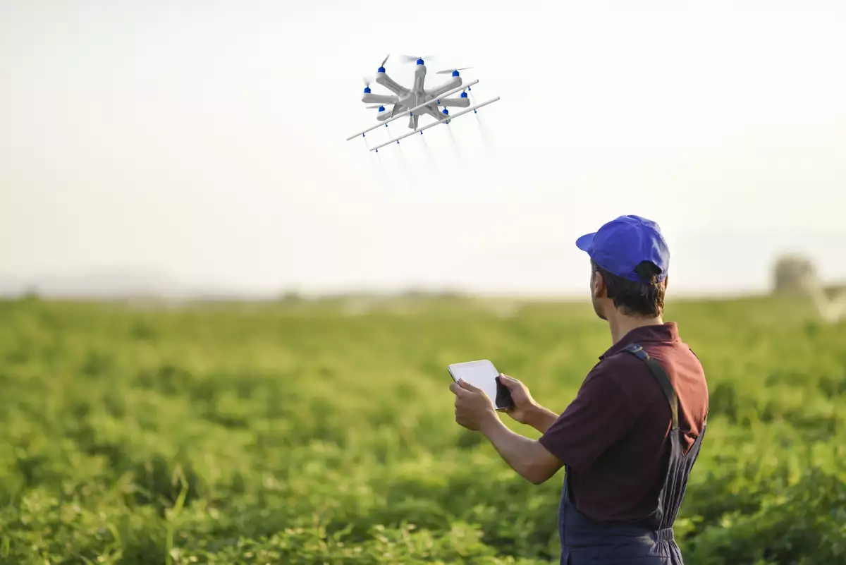 reforestation with drones