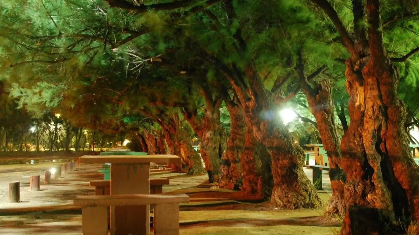 San Jerónimo se consolida como destino de termas y ecoturismo en San Luis, con crecimiento sustentable