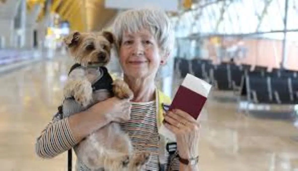 as novas regulamentações na Argentina