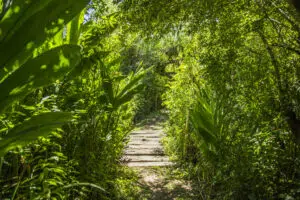 Parque Natural Ribera Norte, en San Isidro. Foto: Municipalidad de San Isidro.