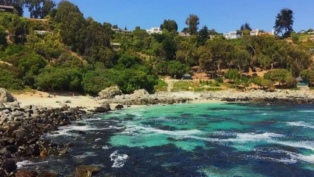 Beach towns in Chile for the summer: three must-see destinations away from the crowds