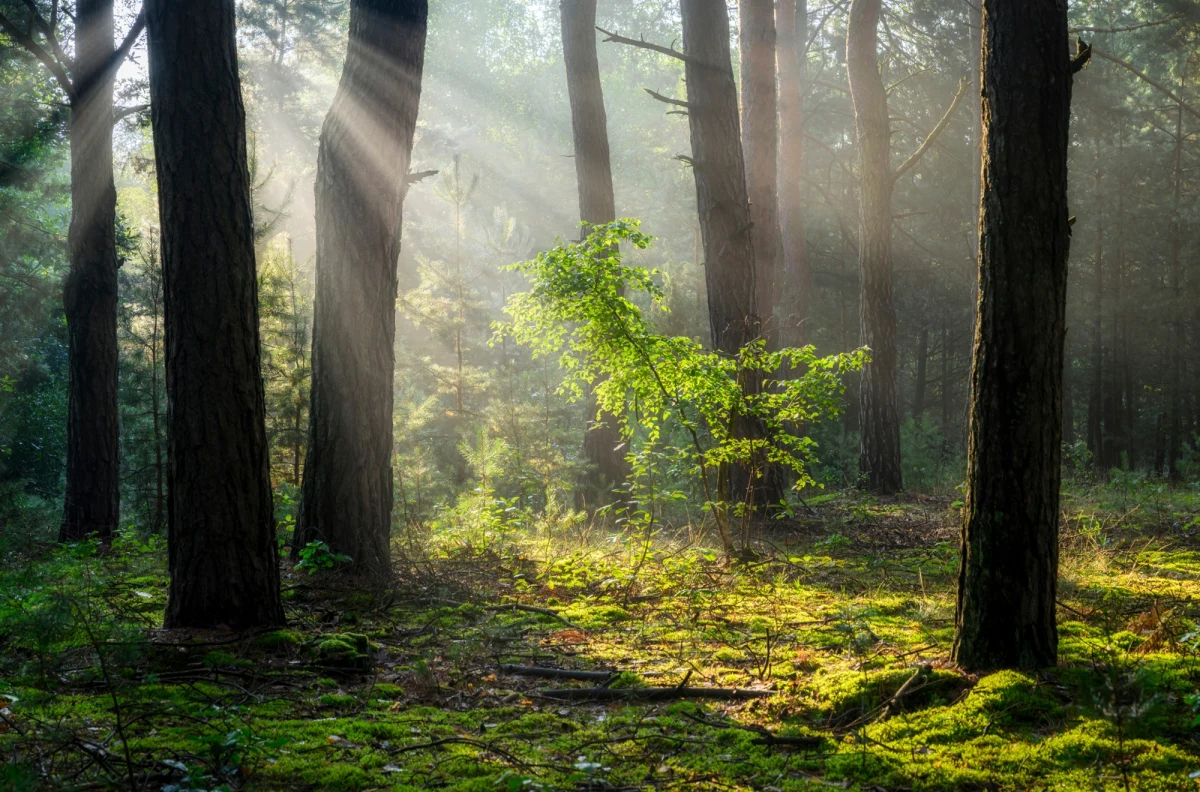 What is biophobia and why is it a challenge for public health and environmental sustainability