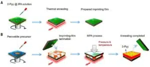 Células solares. Foto: Ecoinventos.