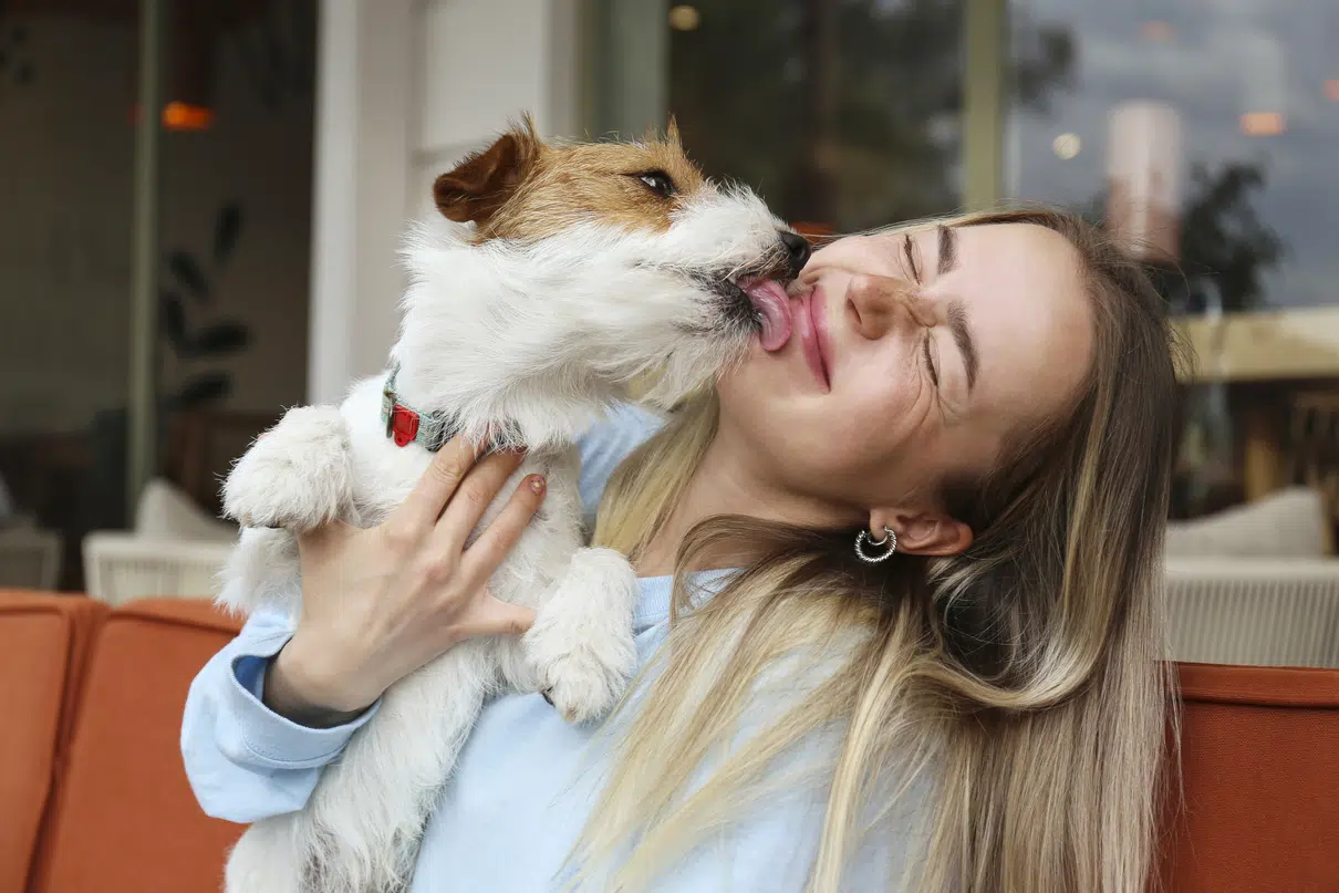 The pet-friendly revolution: more and more cities integrating pets as part of everyday life