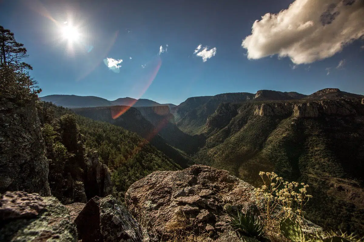 Mexico bets on ecological restoration: conserving 30% of the territory and reducing fossil dependency