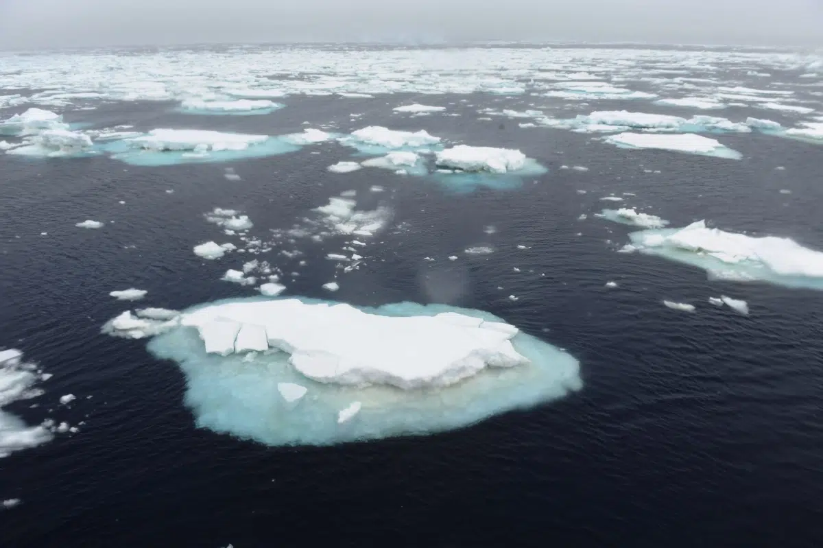 Davos focuses on the cryosphere: global thawing already darkens the planet and strains economy and ecosystems