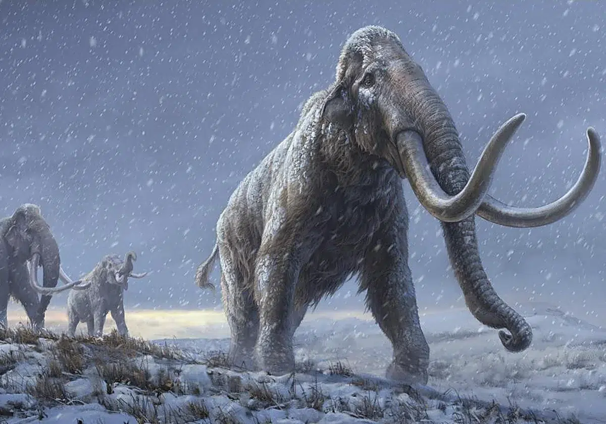 Prehistoric giants were slower than previously thought: a study redefines the speed of dinosaurs and mammoths