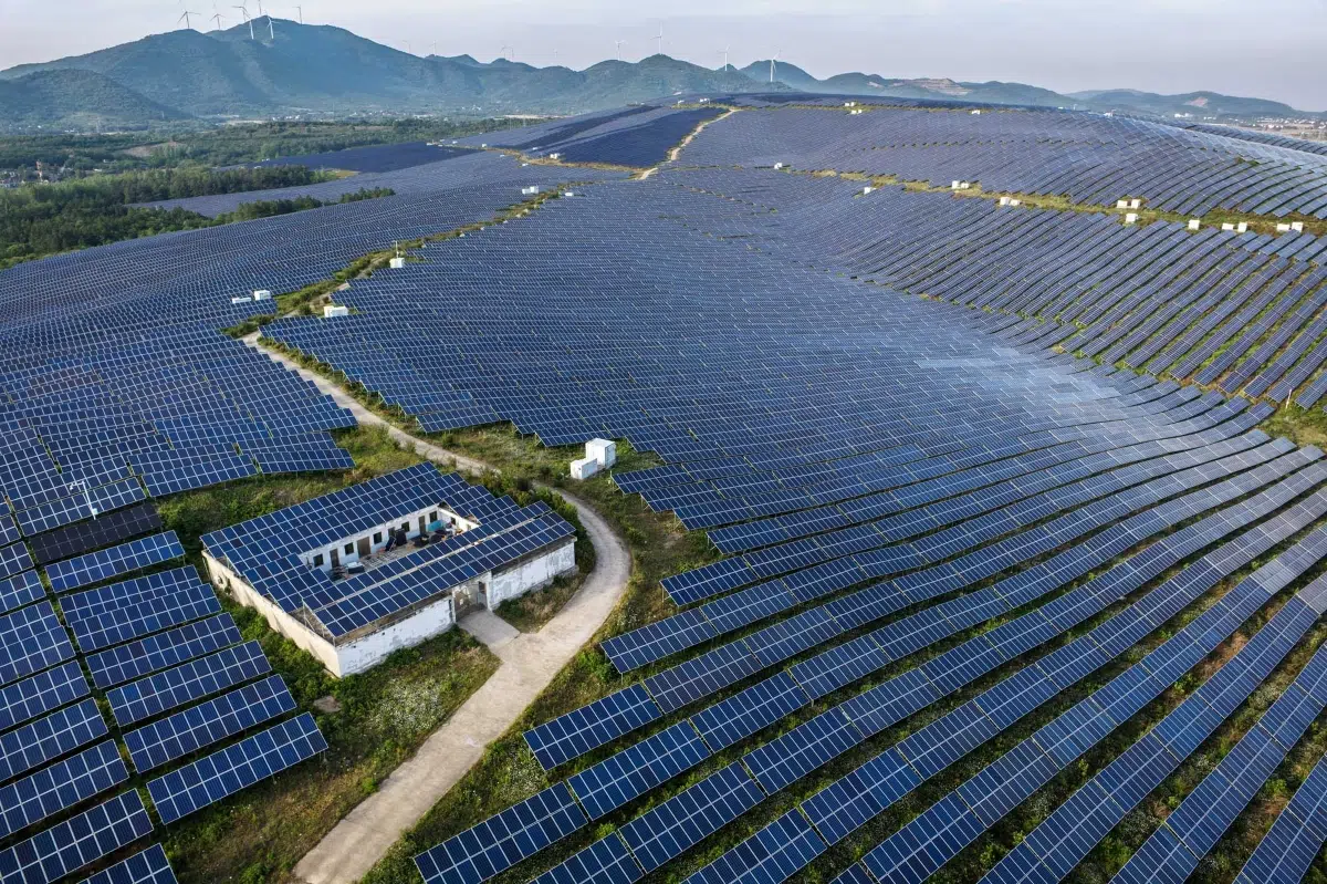 Renewable energies marked a historic milestone in 2025, becoming one of the scientific breakthroughs of the year