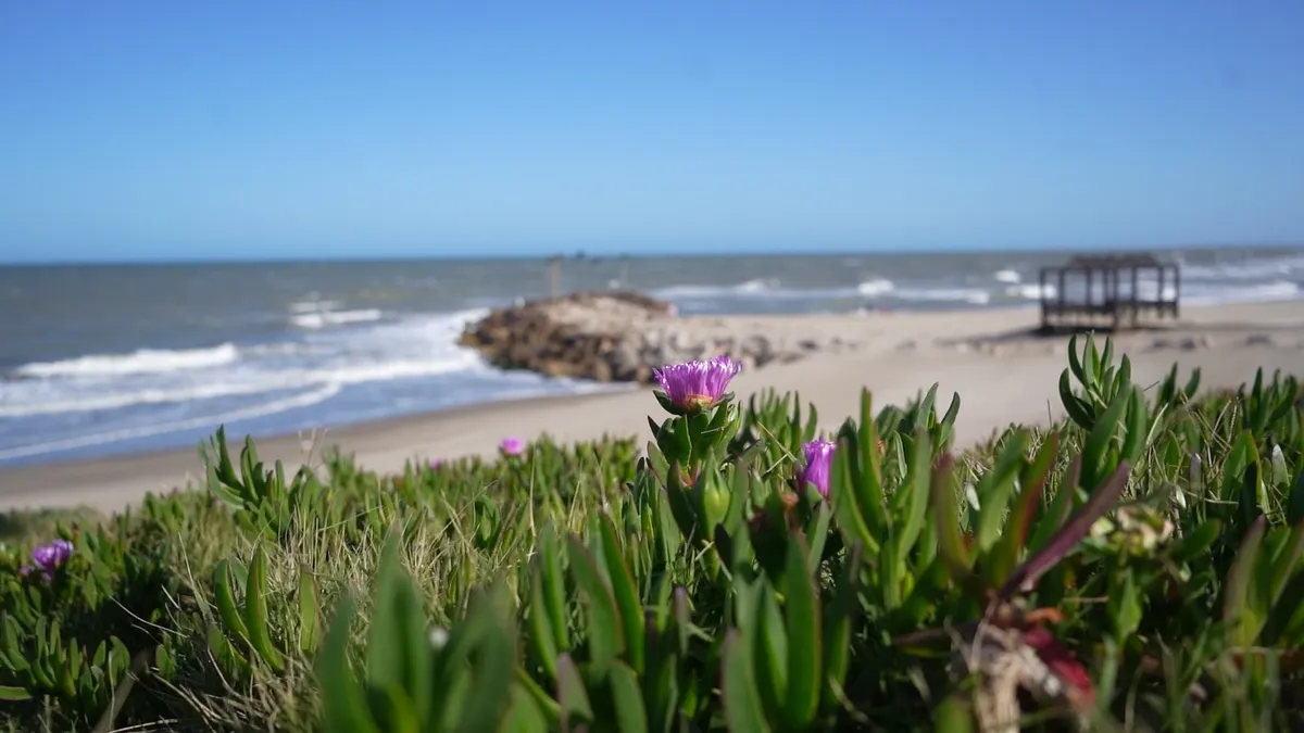 Mar Chiquita, the nature reserve that combines biodiversity, beach, and sustainable ecotourism on the Atlantic Coast