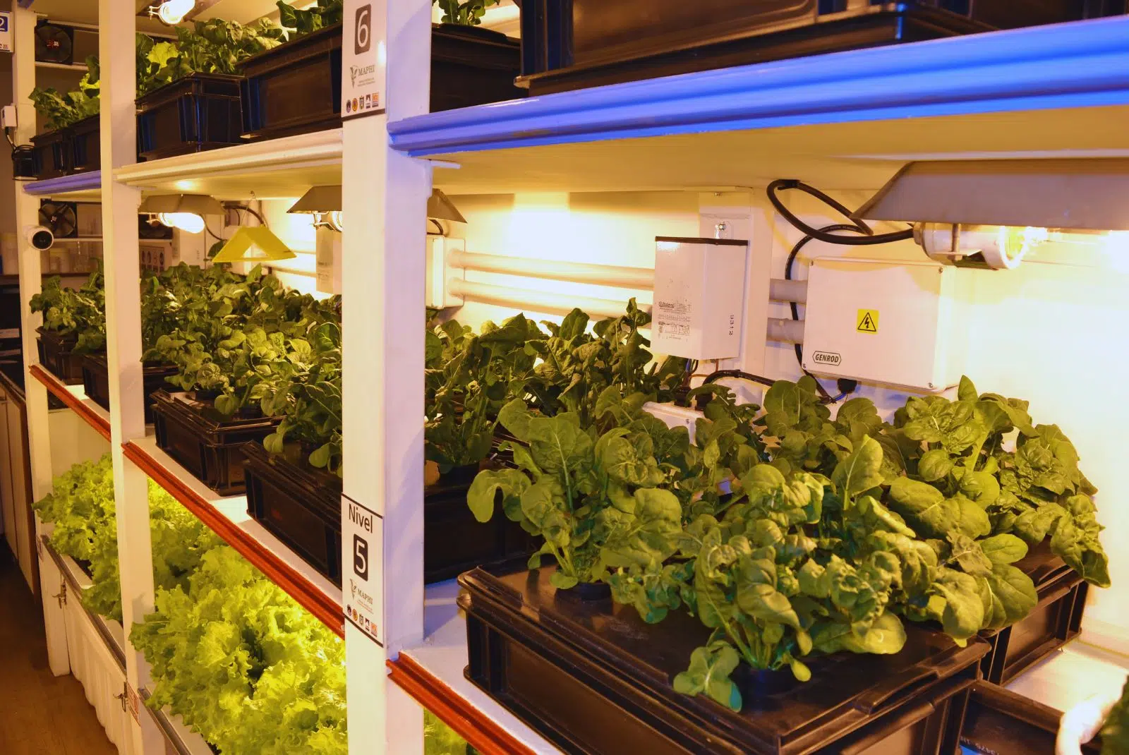 INTA e UNLaM desenvolvem módulo hidropônico doméstico