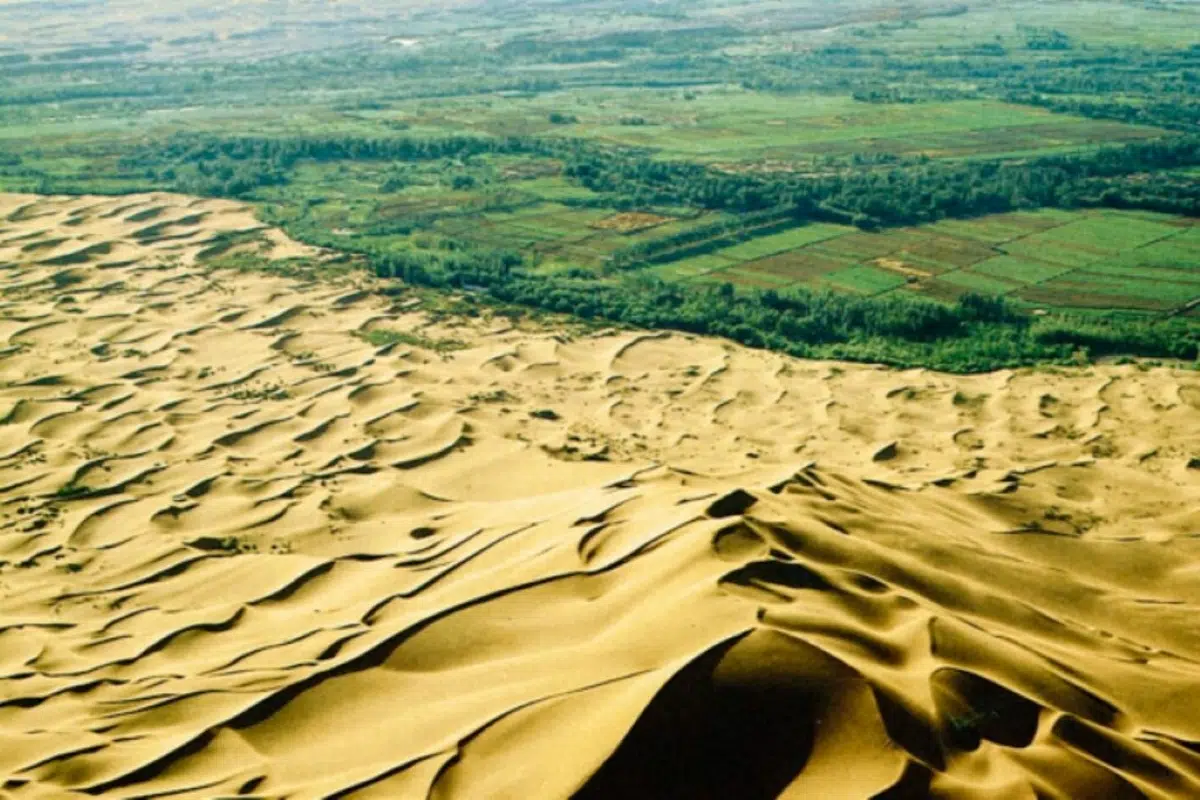 China’s Great Green Wall: Moving Millions of Tons of Earth in the Desert to Shield Against Sand