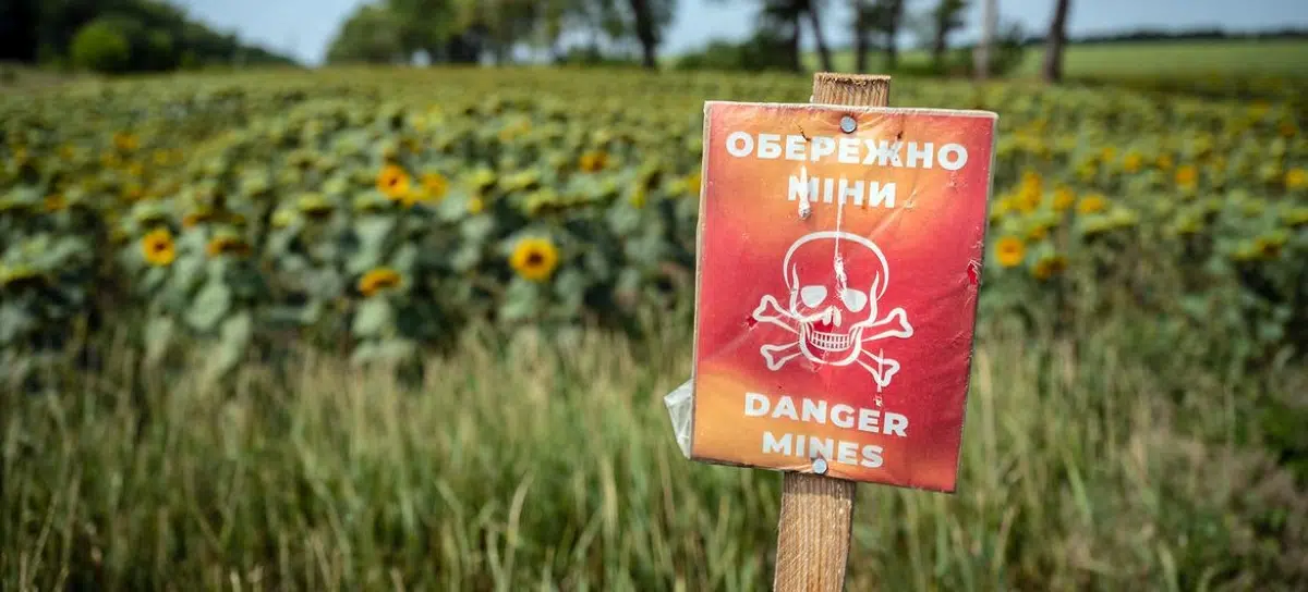 The UN launches a plan to sustain agriculture in Ukraine and protect food, soils, and rural communities