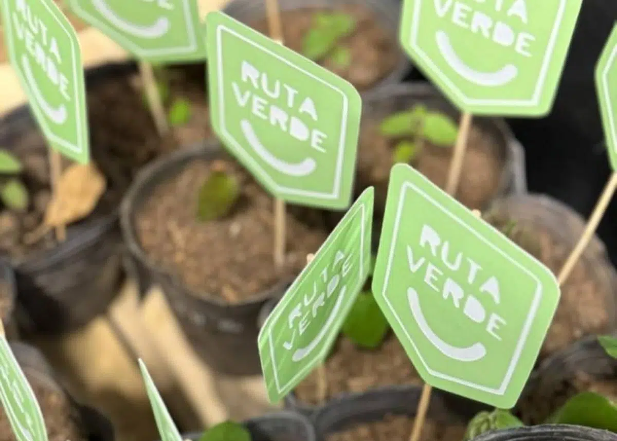 Green Route: a continental biocorridor of native plants connecting communities from Alaska to Tierra del Fuego