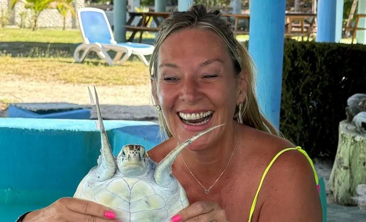 marine turtles