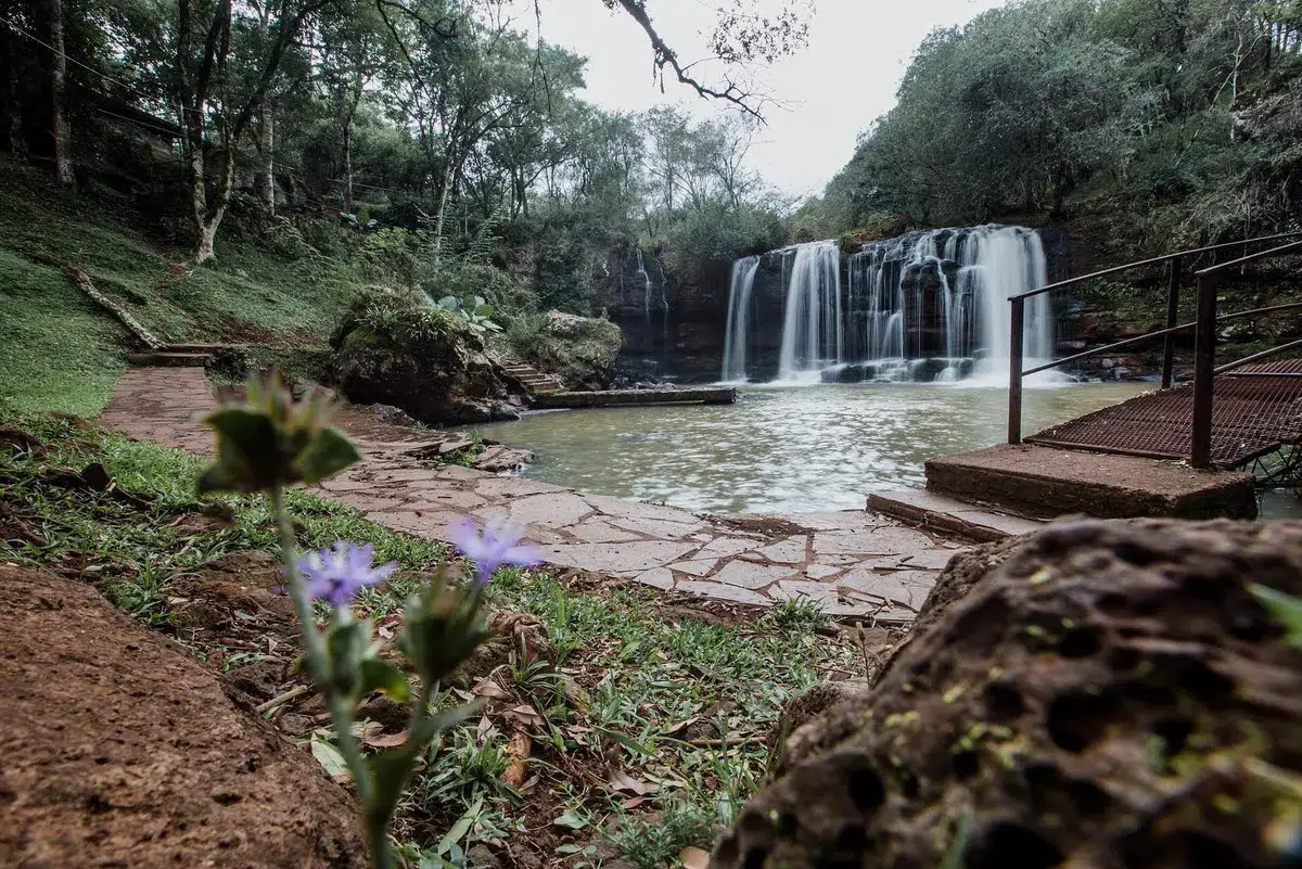 Summer in the province of Misiones: protected nature, adventure, and relaxation in a unique destination to visit