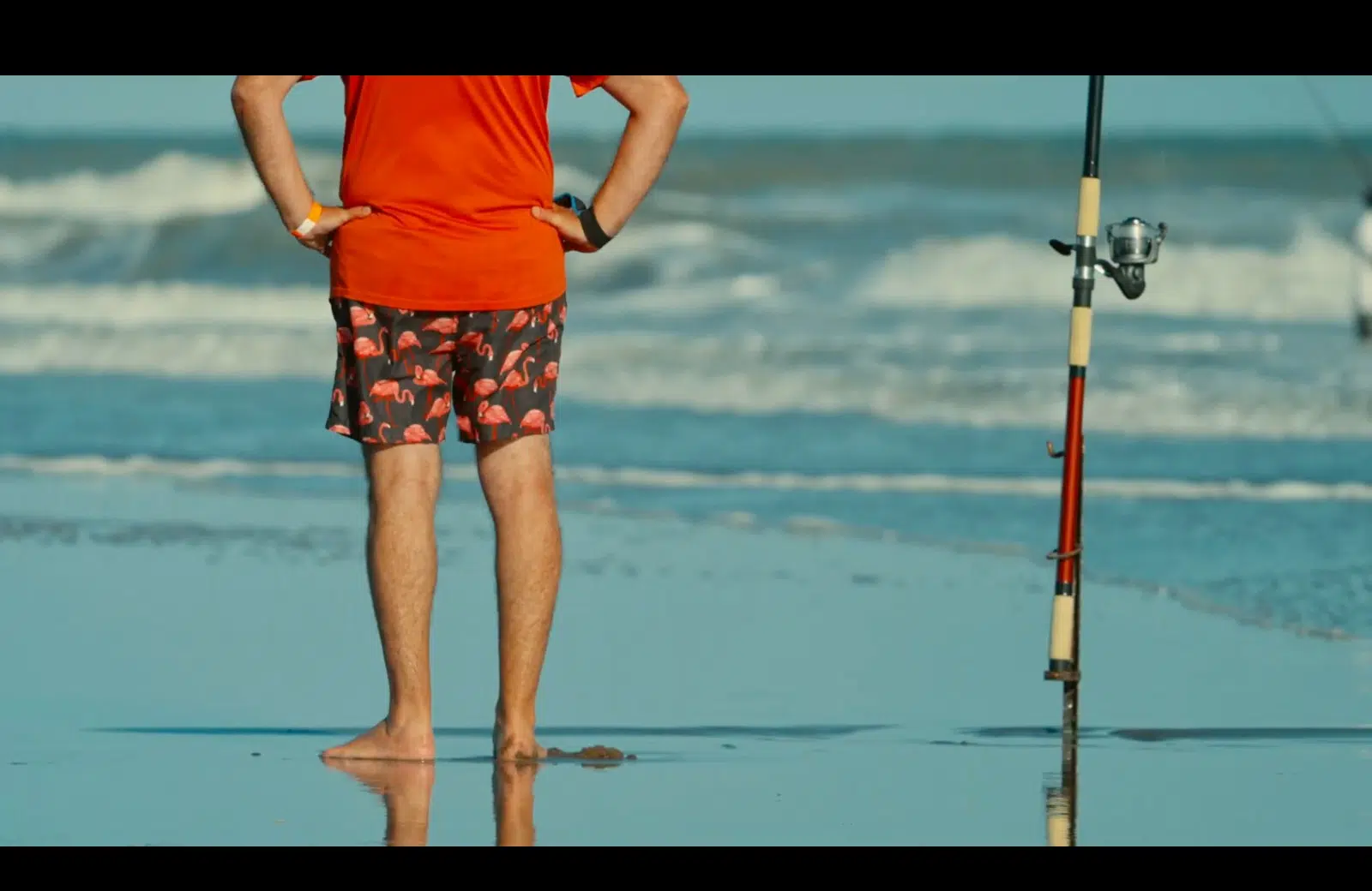 The Documentary That Saved the Guitarfish: How an Argentine Production Managed to Protect a Critically Endangered Species