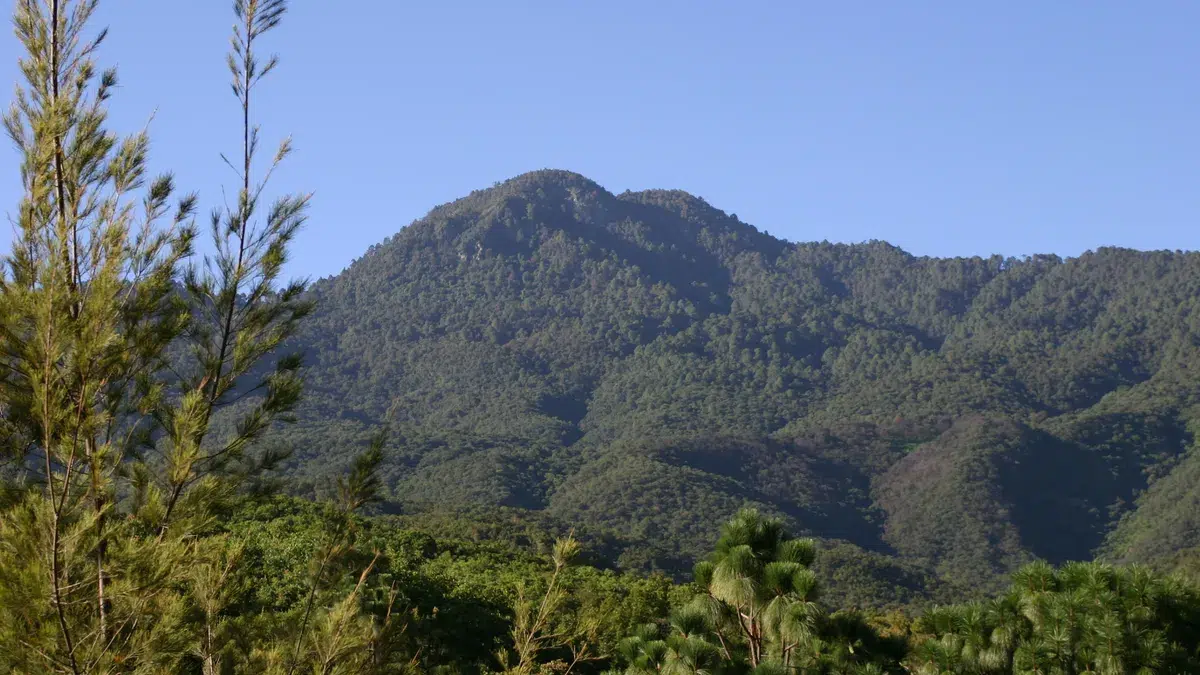 Supreme Court of Mexico recognizes the right to environmental protection for a person living near an Ecological Reserve