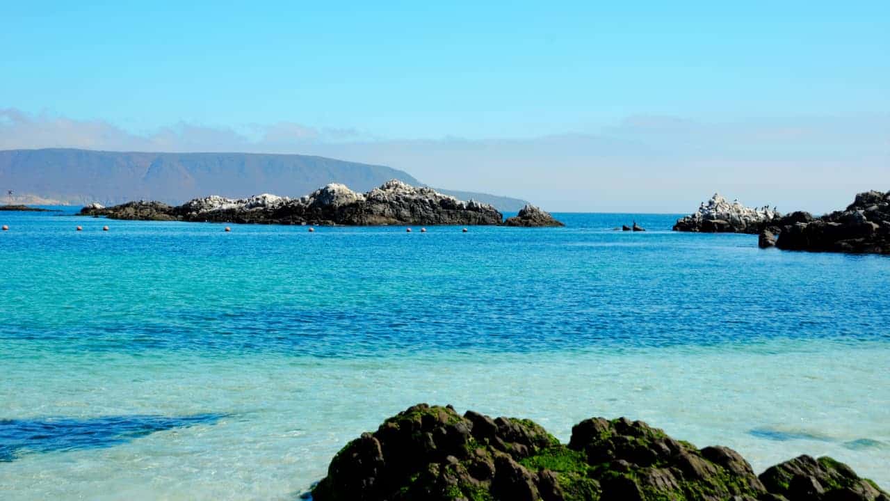 Bahía Inglesa: the turquoise oasis of the Atacama Desert that combines cold sea, white sand, and biodiversity