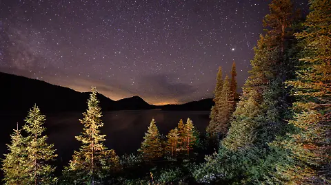 Reforesting the boreal edge in Canada could help capture 19.4 gigatons of CO2. Photo: El Sol de México.  