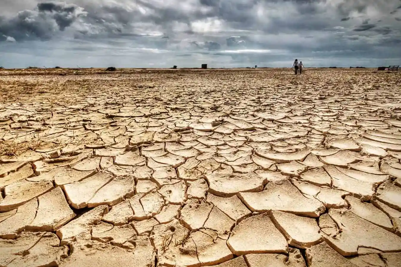 Climate Change in Mexico: WHO Warns 80% of Population at Health Risk Due to Extreme Events