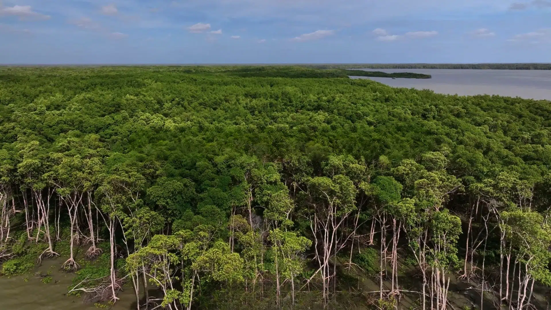 The planet’s green belt migrates northeast: a global study reveals the pulse of the biosphere