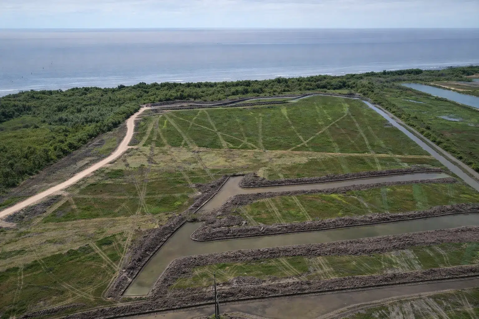 Report of clearing on 150 hectares of the Berazategui coast: alert for impact on wetlands and native forest