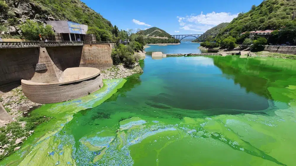 Córdoba cherchera à récupérer le Barrage San Roque de la contamination. Photo : La Política Ambiental. 