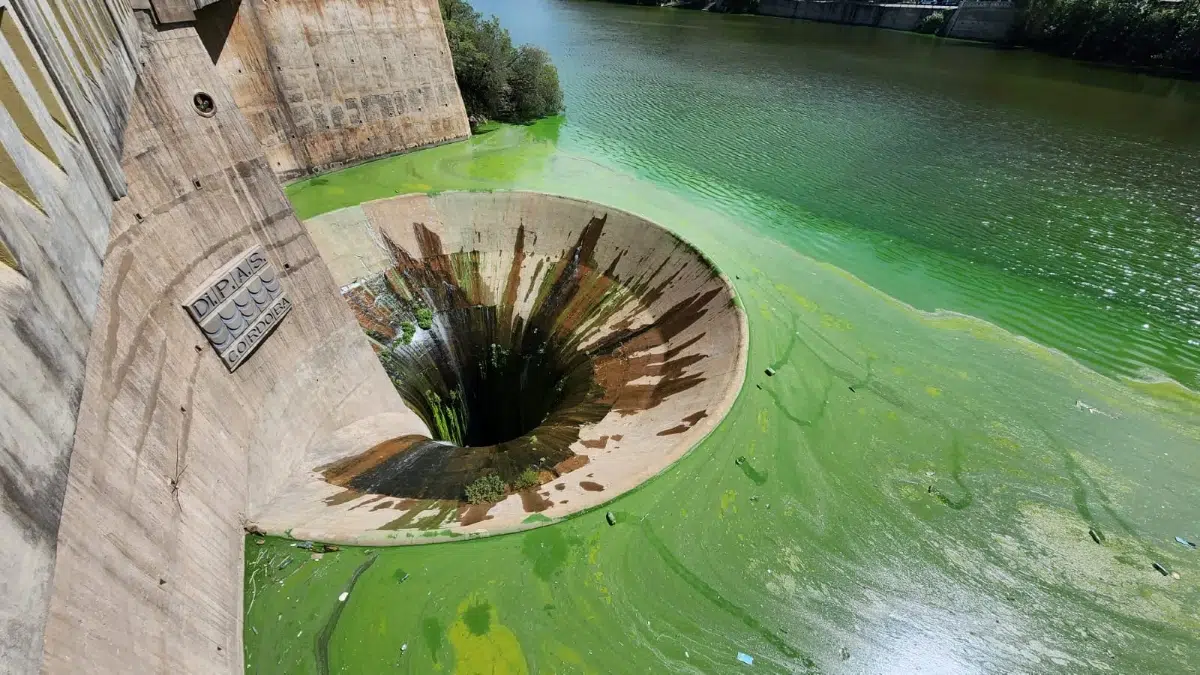 Córdoba will seek to recover the San Roque Dam from pollution to transform it into clean energy