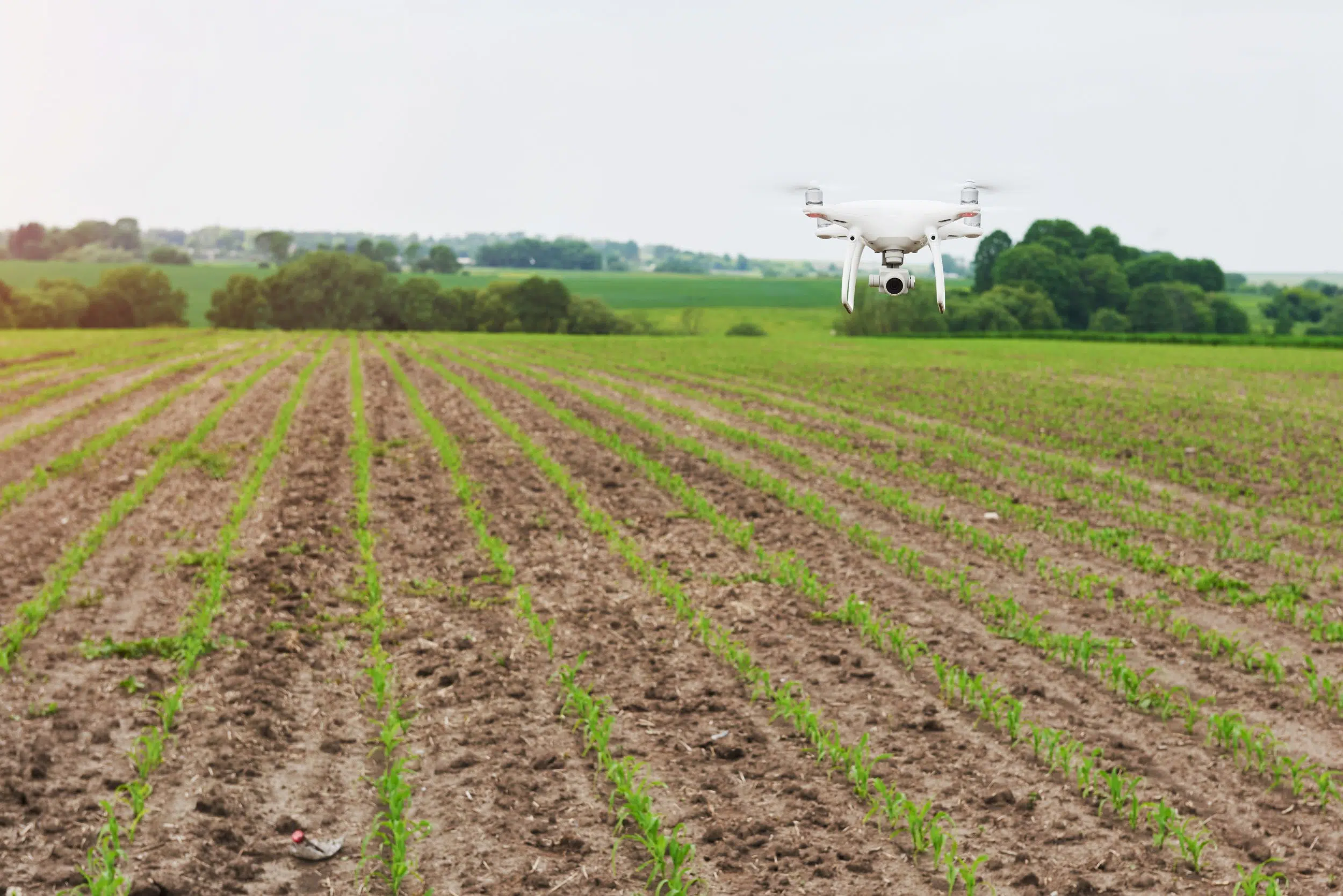 Precision Agriculture: How Drones Are Transforming Work in the Field