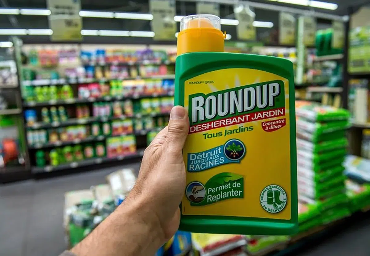 Bayer to pay $7.25 billion for the “cancer risk” of glyphosate used in Roundup herbicide