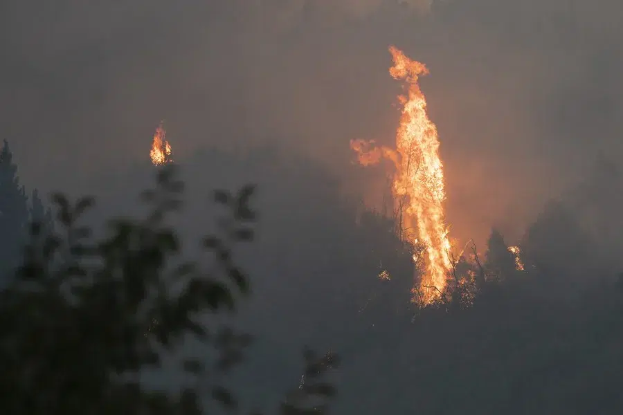 Der Fortschritt des Feuers in Biobío übersteigt die Löschkapazität. Foto: EFE.