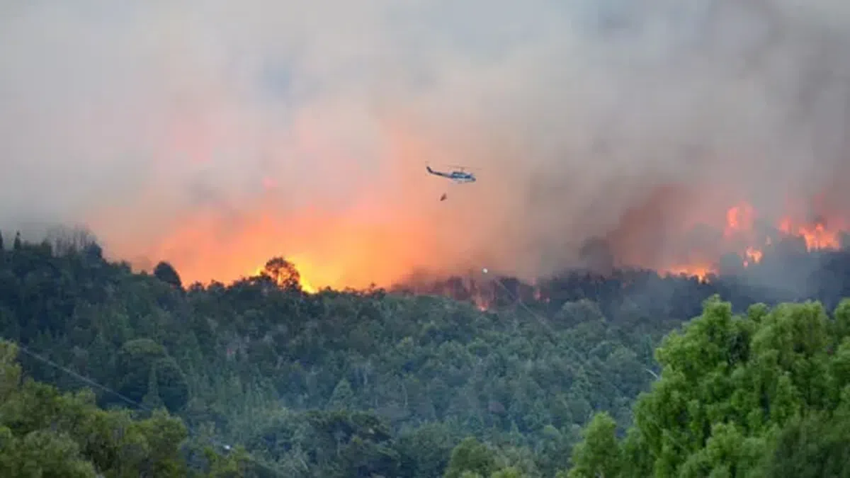 Climate change triples the likelihood of fires in central Chile and Patagonia, according to international study
