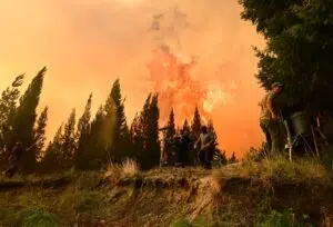forest fires