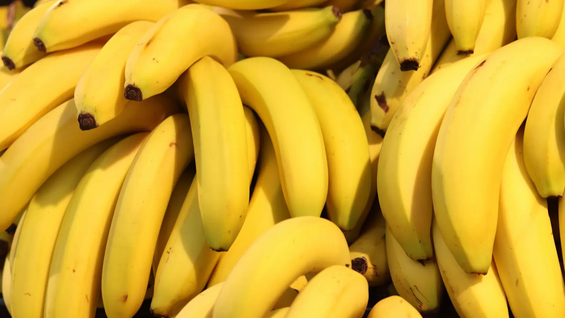 Metales tóxicos en bananas: el desastre del río Doce sigue afectando la salud y la agricultura en Brasil