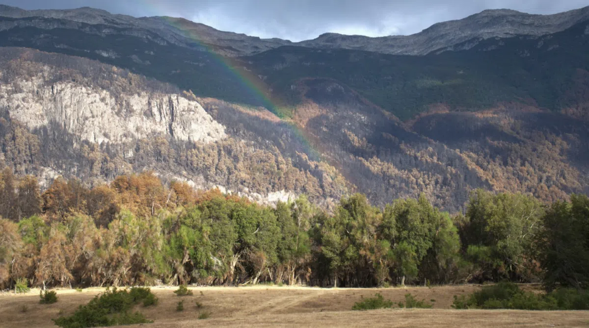 Los Alerces National Park reopens Route 71 after rains to relaunch tourism services in the region