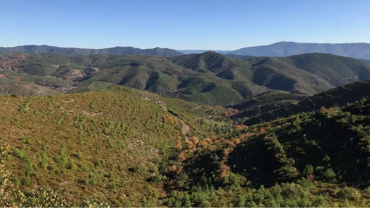 Brazil Climate Plan: While Seeking to Curb Deforestation, Pollutant Emissions Rise