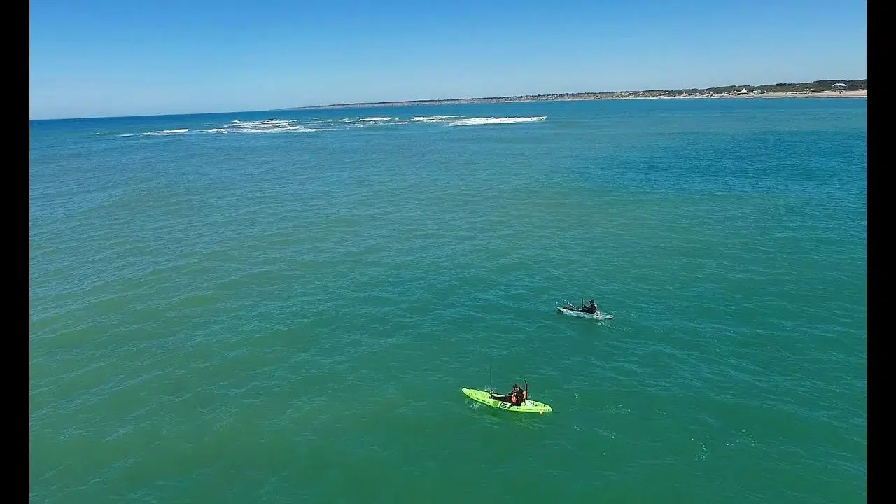 La Restinga, el santuario marino oculto a metros del faro de Mar del Plata