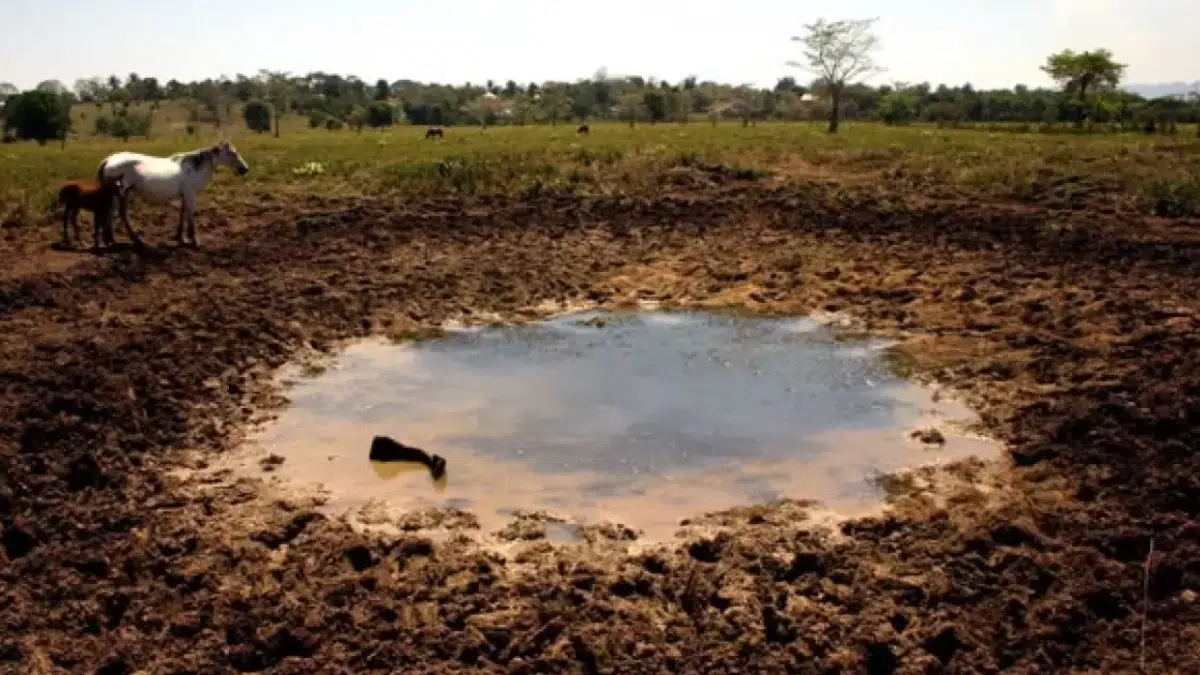 drought in Mexico