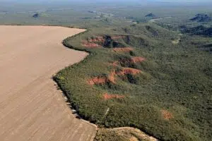 Brasil perde 1.400 milhões de toneladas de carbono do solo pela expansão agrícola. Foto: Brasil de Fato.