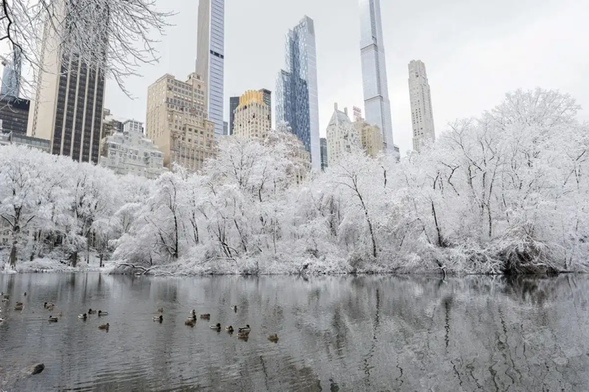 Snowstorm paralyzes downtown New York amid intense polar wave in the United States