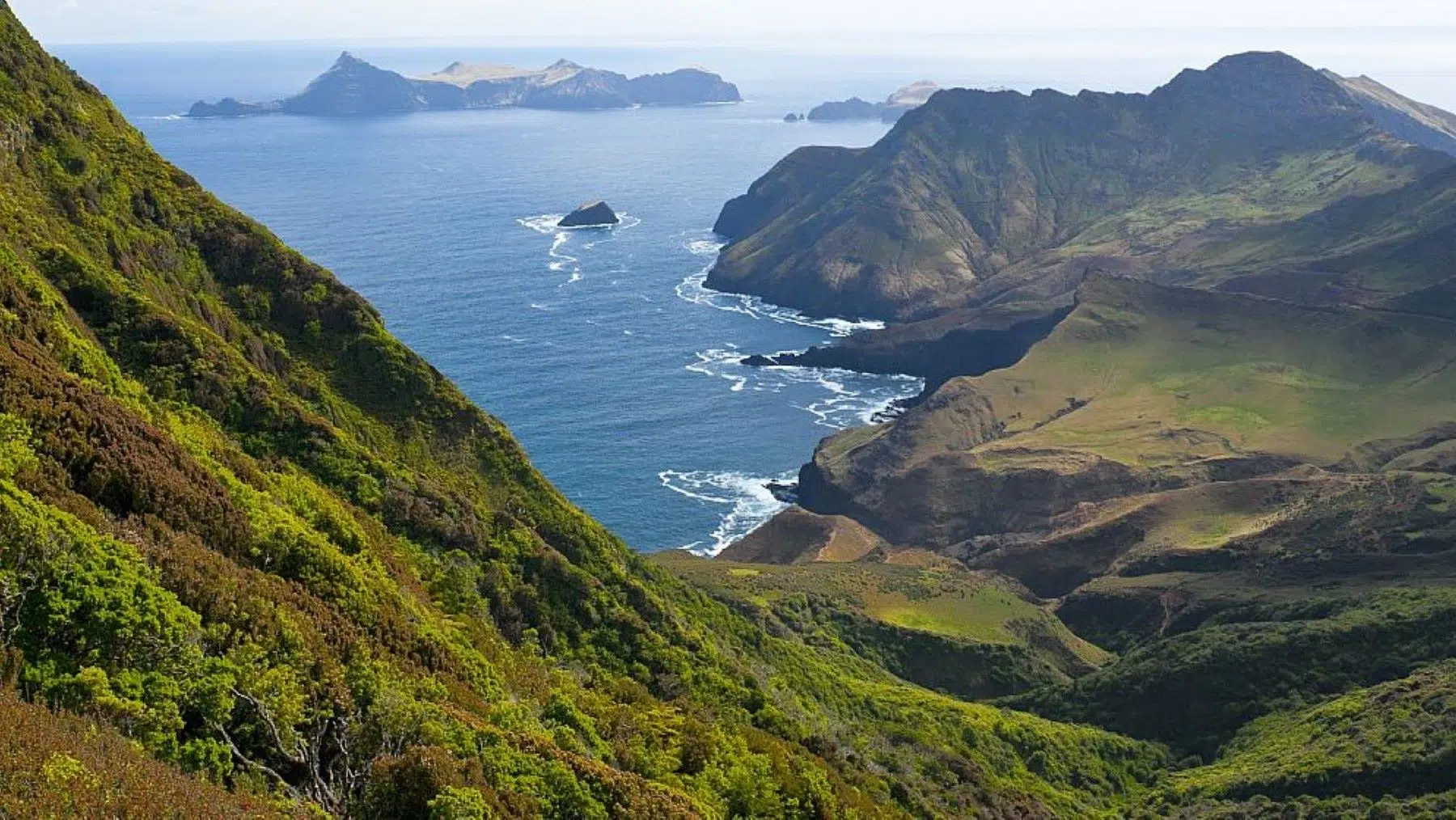 Chile protects 16% of its sea with plan in Juan Fernández