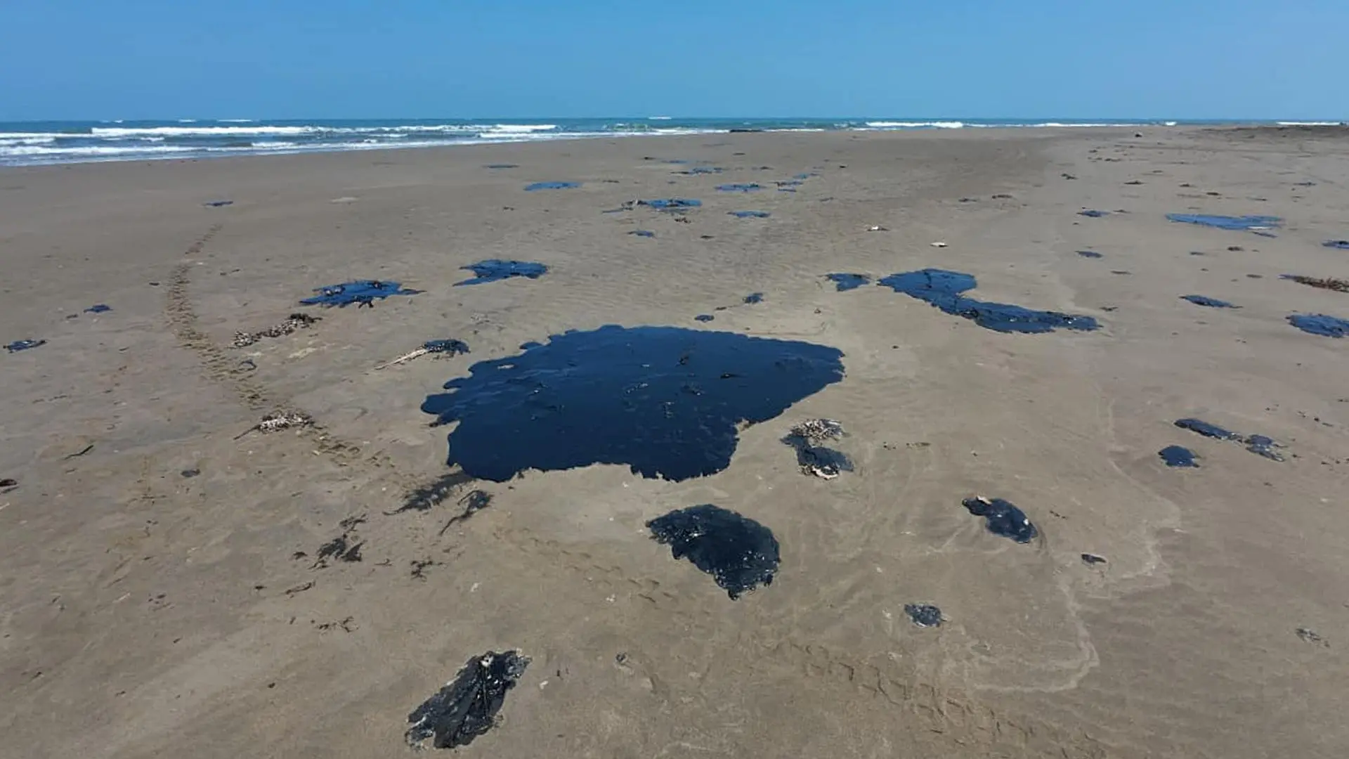 Oil spill in the Gulf of Mexico: the slick reaches 630 km and is already a major environmental disaster