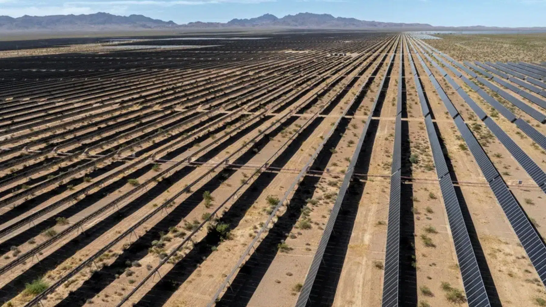 Innovative Solar Project in Mojave Preserves Northwestern U.S. Desert Ecosystem