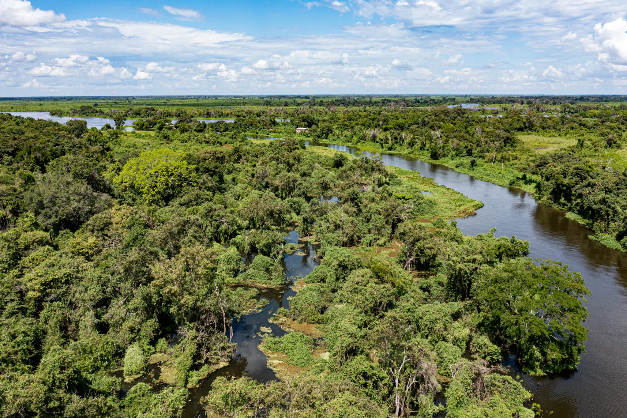Brazil inaugurates the first environmental court in the Pantanal: ecological justice to protect the world’s largest wetland