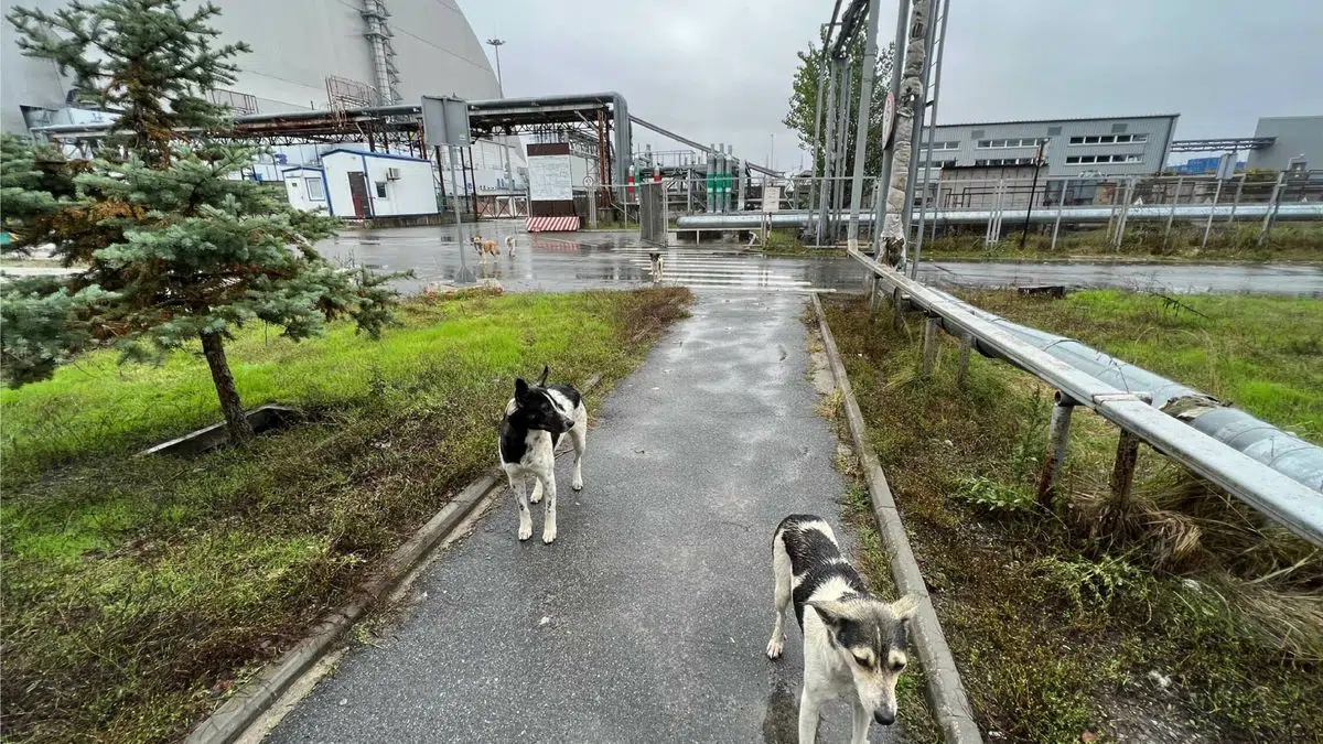 accidente de Chernobyl