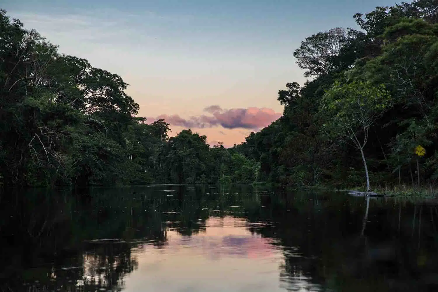 Peru: 96% of Protected Natural Areas are well preserved and reinforce its role as a global biodiversity powerhouse