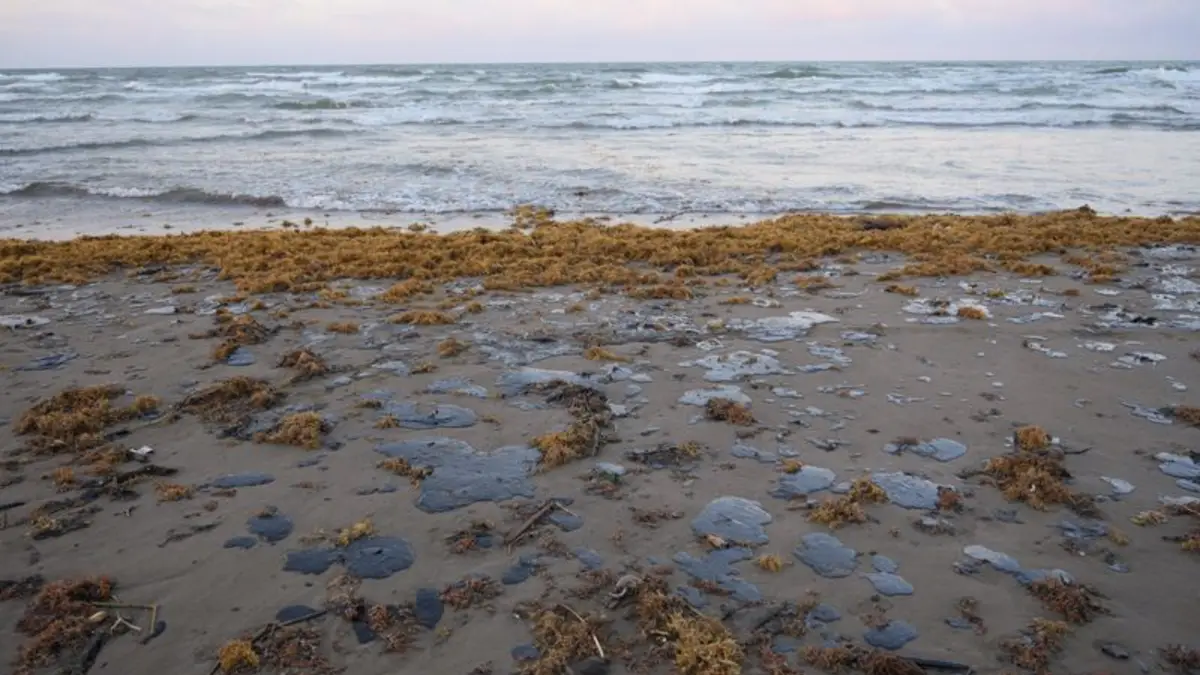 Oil spill in the Gulf of Mexico: 230 km of coastline affected in the areas of Veracruz and Tabasco