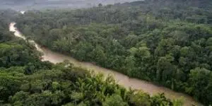 Descubren 118 especies de peces en un río de la Amazonía del Ecuador: un inventario que revela su riqueza ecológica. Foto: Noticiero Canal 7.